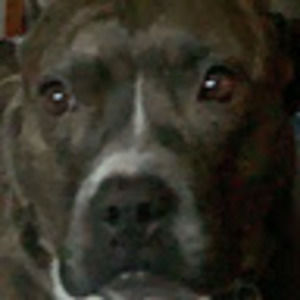 Meet your Posher, Sierra